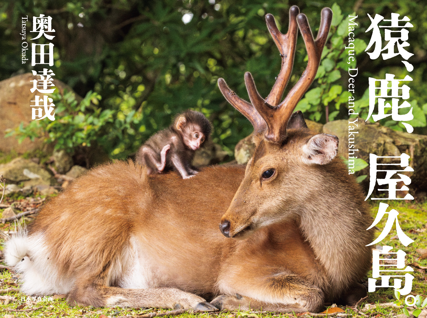 猿、鹿、屋久島。