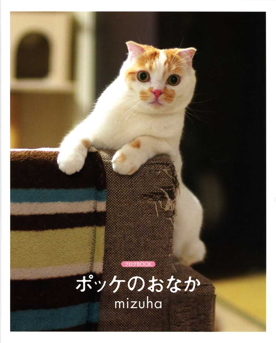 ポッケのおなか