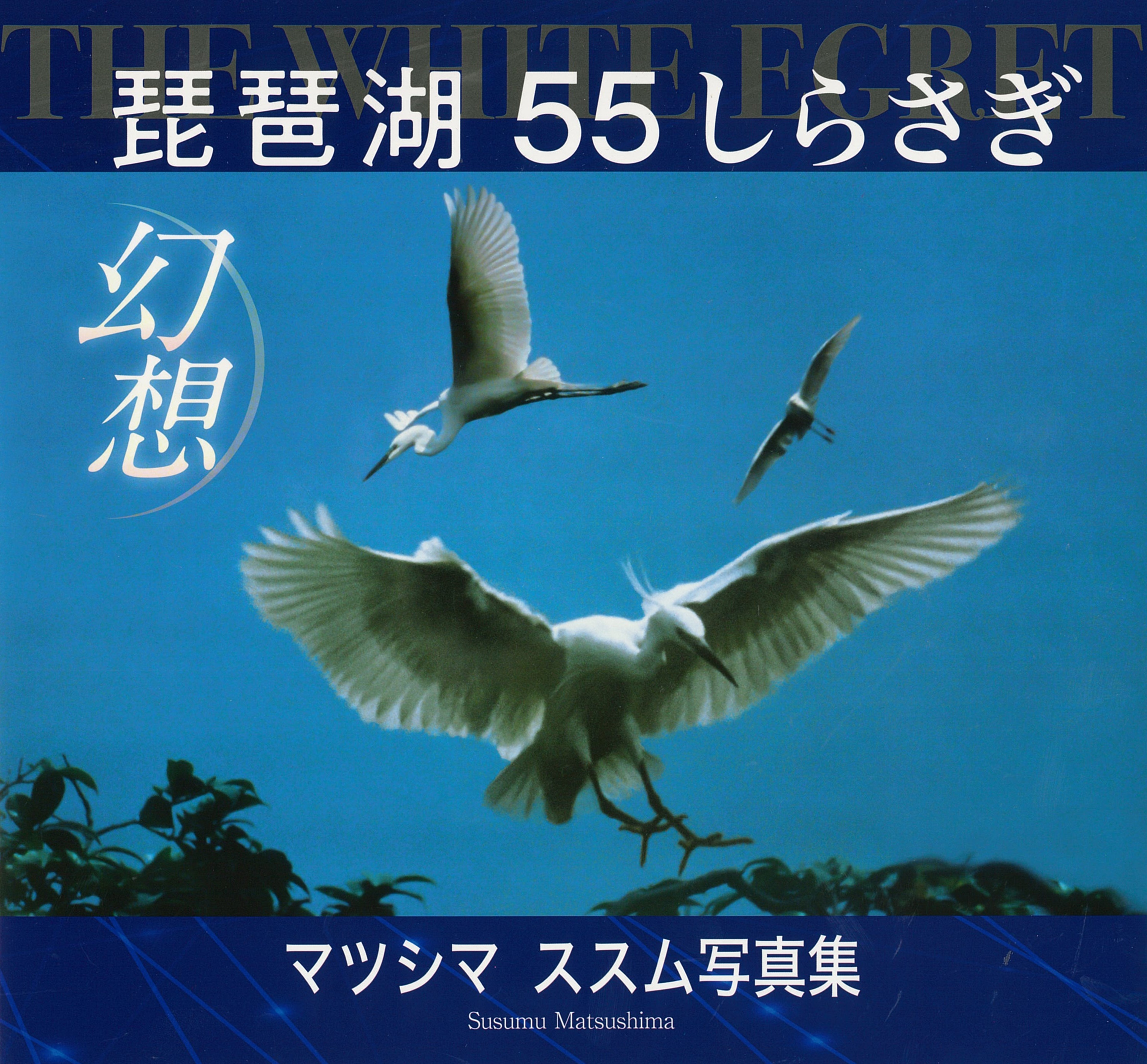 琵琶湖幻想