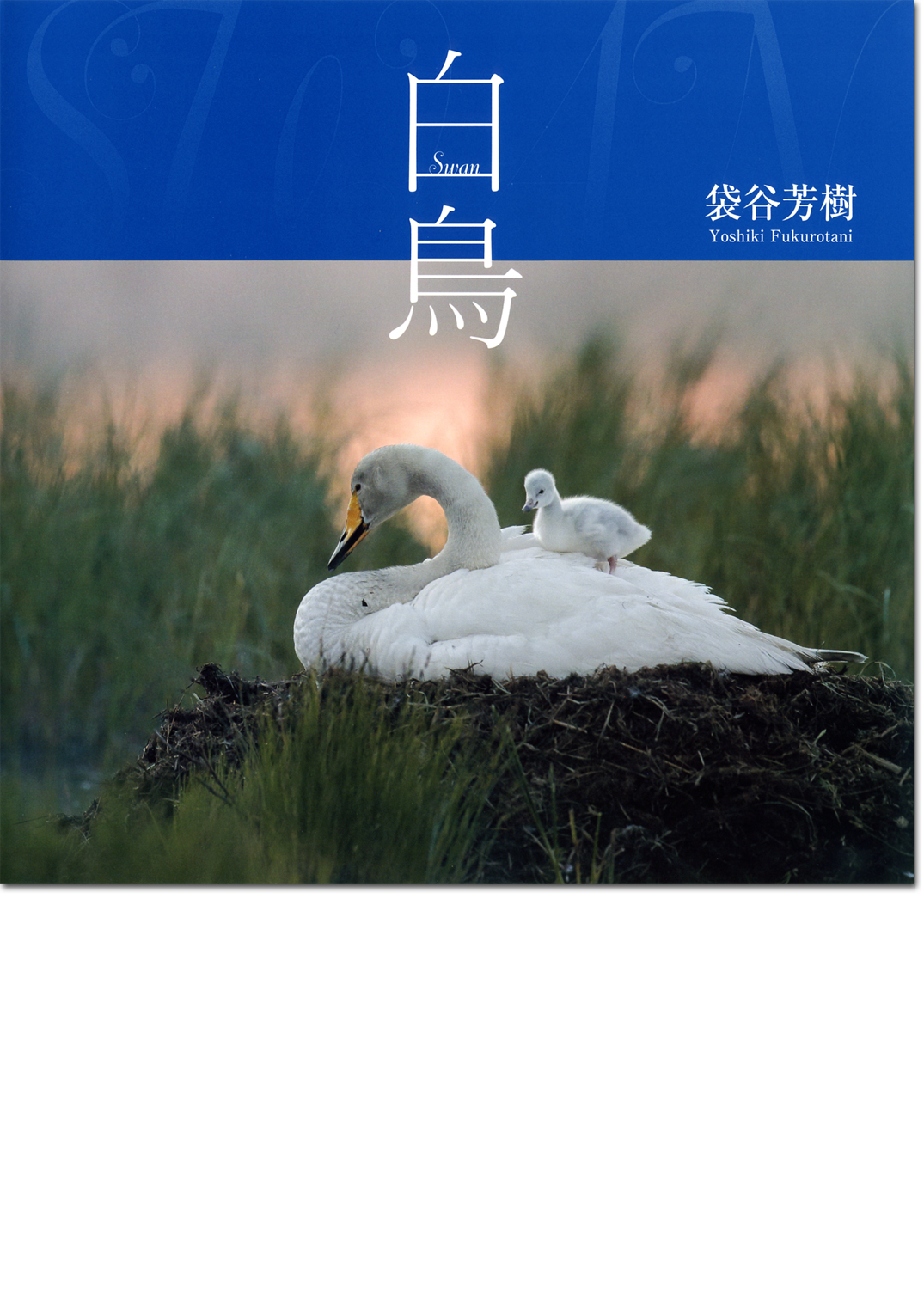 袋谷芳樹写真集「白鳥」