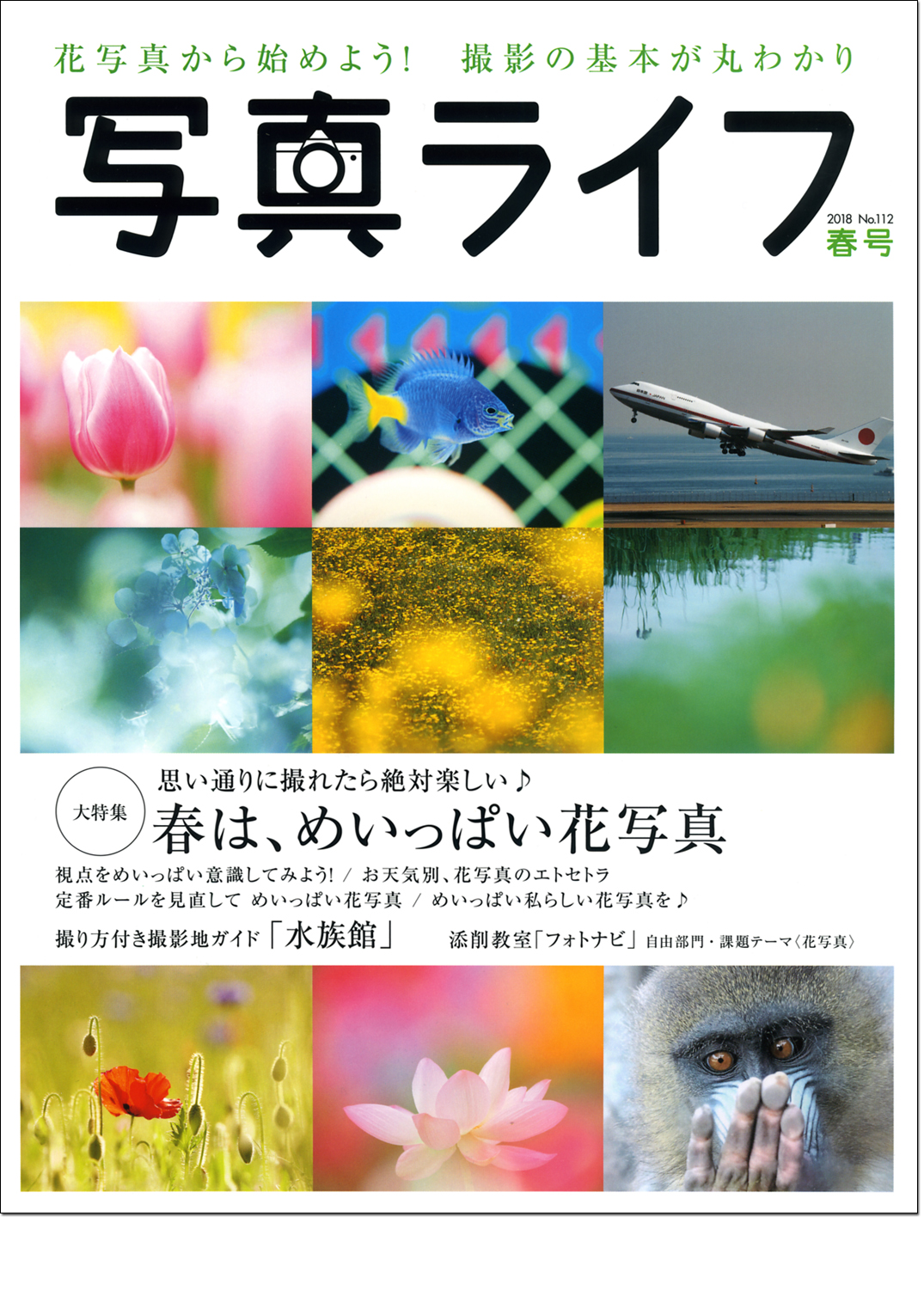 写真ライフNo.111　2018年春