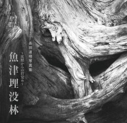 沈黙からの目覚め　魚津埋没林