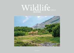 Wildlife　大雪山より