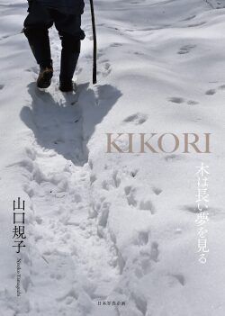 KIKORI　木は長い夢を見る