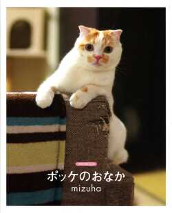ポッケのおなか