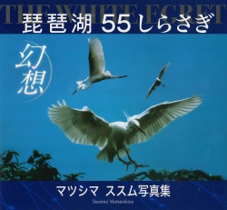 琵琶湖幻想