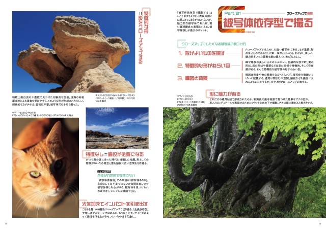 写真ライフNo138 2024 秋