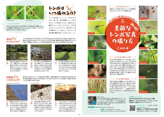 写真ライフNo142 2025 秋