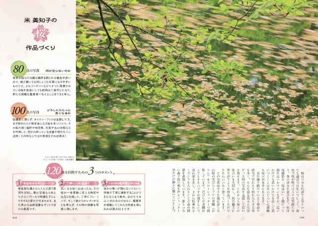 フォトコン2025年3月号