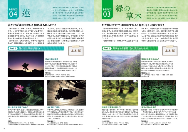 超人気被写体のトリセツ[フォトコン別冊]