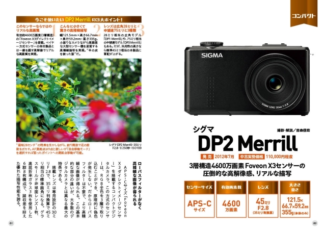 中古実用デジタルカメラ名機ガイド[フォトコン別冊]