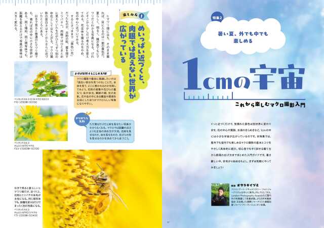 写真ライフNo145 2026 夏