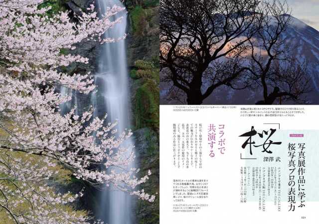 フォトコン2026年3月号