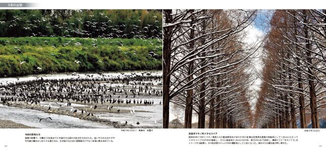 琵琶湖湖畔、風景水彩画。””かたらい”” 琵琶湖湖畔、風景水彩画。””かたらい””