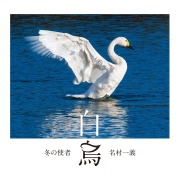 冬の使者　白鳥