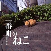 一番町のねこ