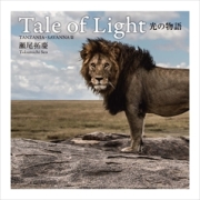 Tale of Light　光の物語