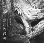 沈黙からの目覚め　魚津埋没林