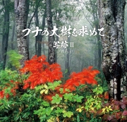 ブナの大樹を求めて