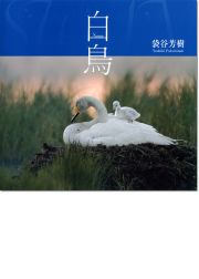 袋谷芳樹写真集「白鳥」
