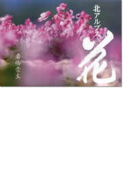 岩橋崇至写真集「北アルプス 花」