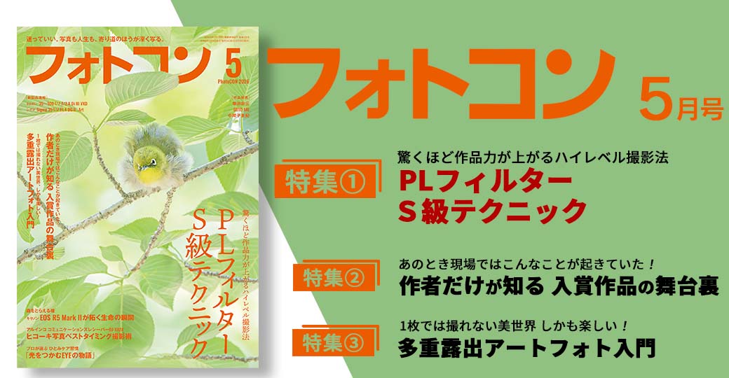 フォトコン