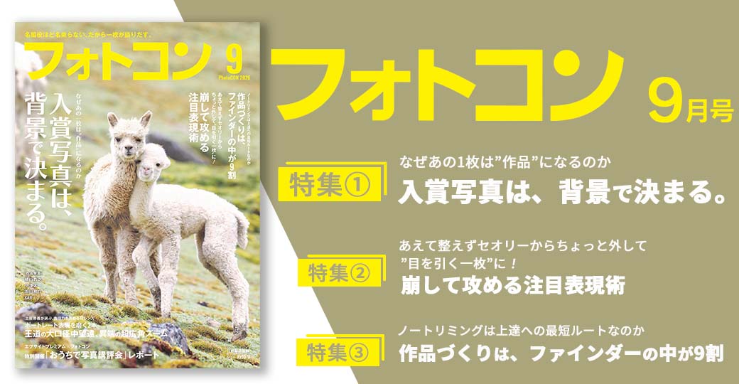 フォトコン