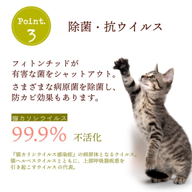 フィトンチッドスプレーforCAT