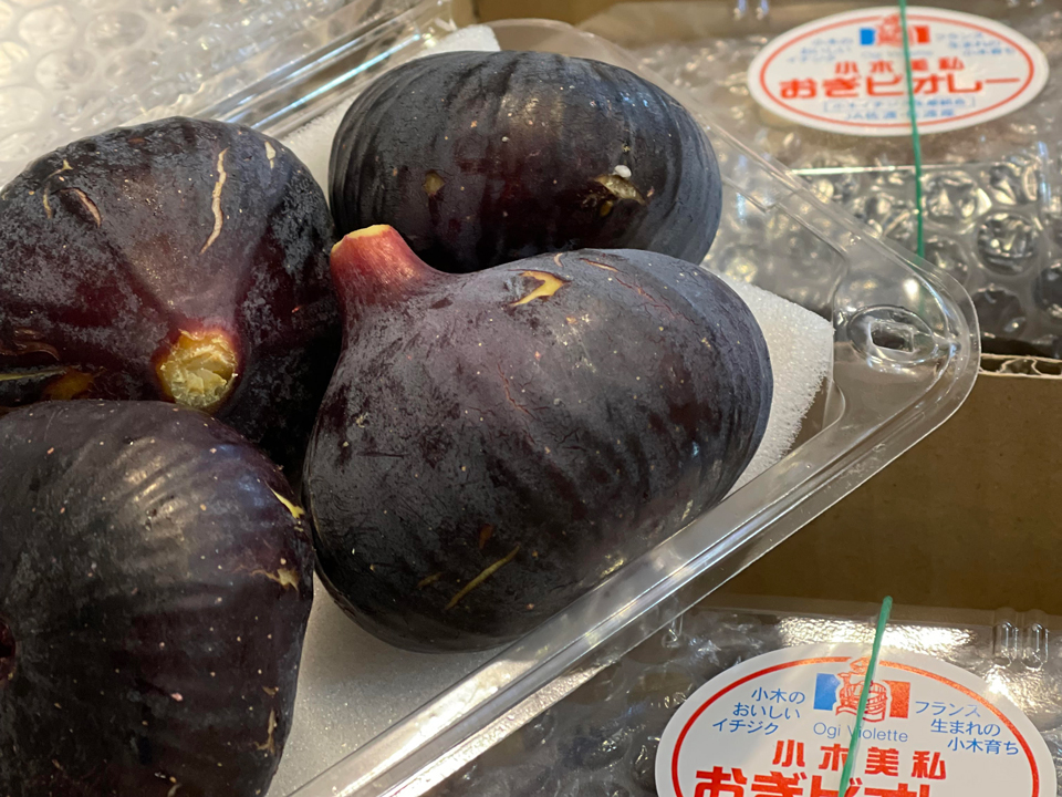 佐渡産黒イチジク（ヴィオレ・ソリエス）　※お一人様2パックまで