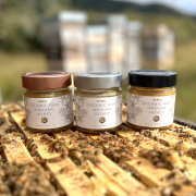 FOODEX 5%OFF 【モノフローラルマヌカ】 マクベル オーガニック マヌカハニー250g MGO100+ 250+ 500+ 3本セット