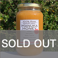 日本初上陸 ニュージーランドで搾りたてを瓶詰め 日本人養蜂家の完全非加熱マヌカ生はちみつ