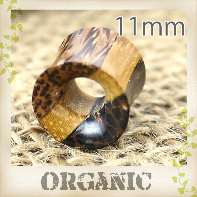 せこびち　アヌビアスコーヒーフォリア付き流木 ADAホーンウッド　2本 せこびち様専用 アヌビアスコーヒーフォリア付き流木 ADAホーンウッド 2本