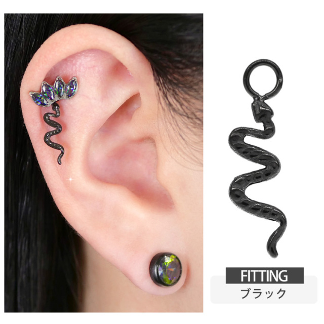 楽器チャーム♬樹脂ピアス
