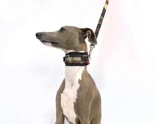 ピムリコハイネックカラー(カモ)　イタグレサイズ