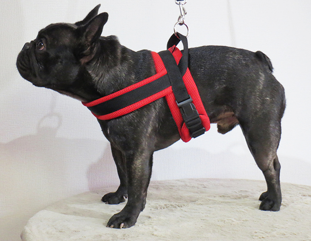 フレブル専用ハーネス(メッシュ) pim:liko（ピムリコ）