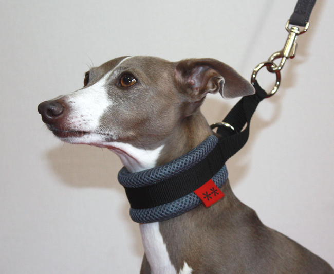 ソフトハーフチョーク(メッシュ) イタグレサイズ pim:liko（ピムリコ）