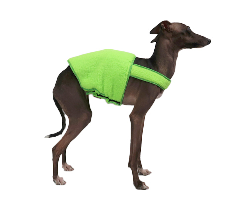 タミーバンド(ボアフリース/ネオン) イタグレサイズ