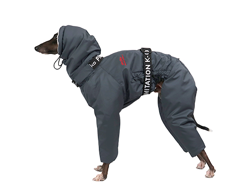 インサレートスーツ　ウィペットサイズ