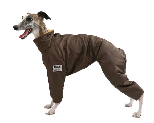 コールドプロテクションスーツ　ウィペットサイズ