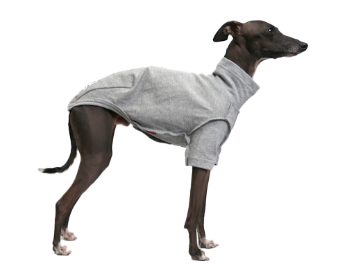 コットンTシャツ イタグレサイズ