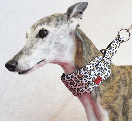 ソフトハーフチョーク（レオパード）　ウィペットサイズ