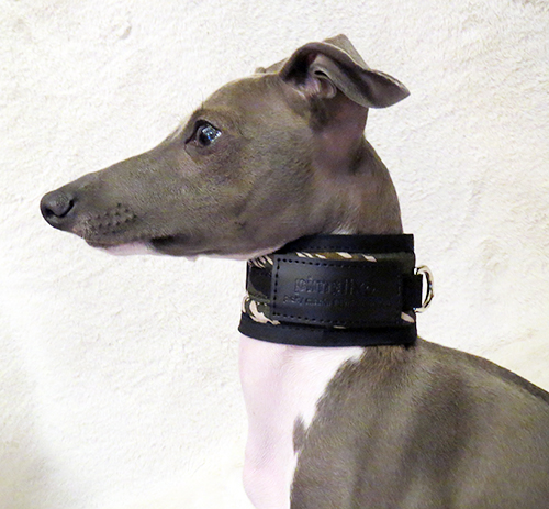 ピムリコハイネックカラー(タイガーカモ)　イタグレサイズ