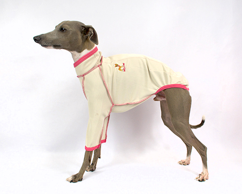 バックオープン コンフォートシャツ　イタグレサイズ