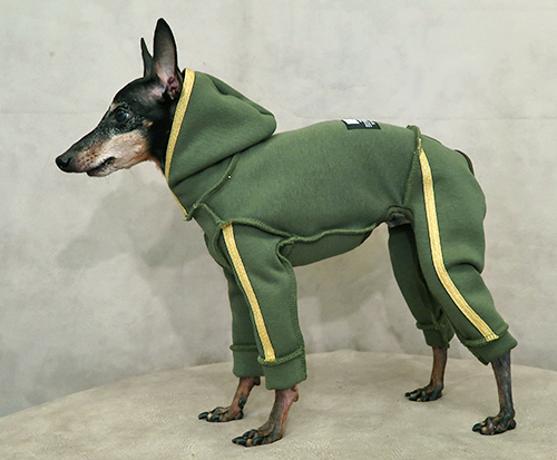 ゴールドラインスウェット　トイマンサイズ