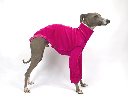売れ筋新商品 イタグレ 犬服☆マントコート 受付 - 犬用品 売れ筋新商品 イタグレ 犬服☆マントコート 受付 - 犬用品