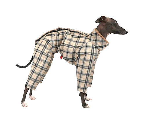 pim:liko＜ピムリコ＞ - イタグレ、ウィペット、フレブル専用のドッグ