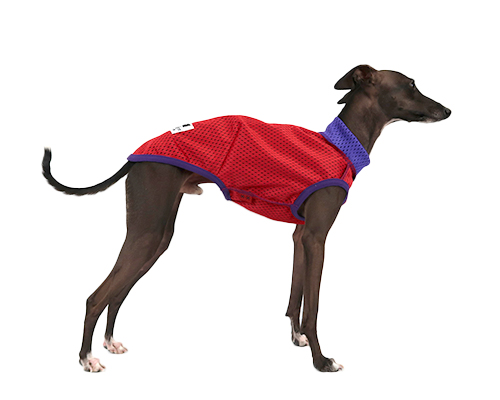 メッシュタンクトップ　イタグレサイズ