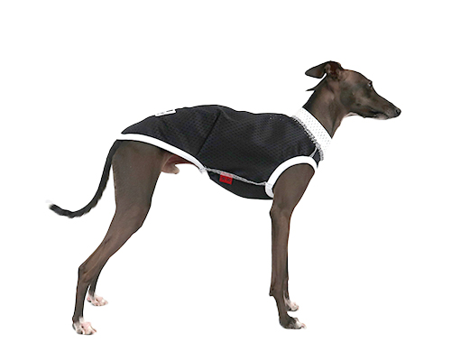 メッシュタンクトップ　ウィペットサイズ