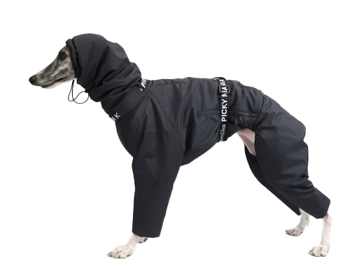 インサレートスーツ ウィペットサイズ