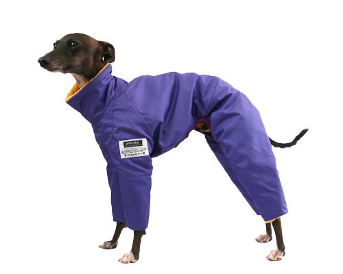 コールドプロテクションスーツ イタグレサイズ